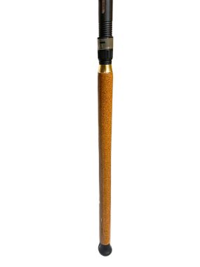 Cần Câu Cá Ashino Kingmaster