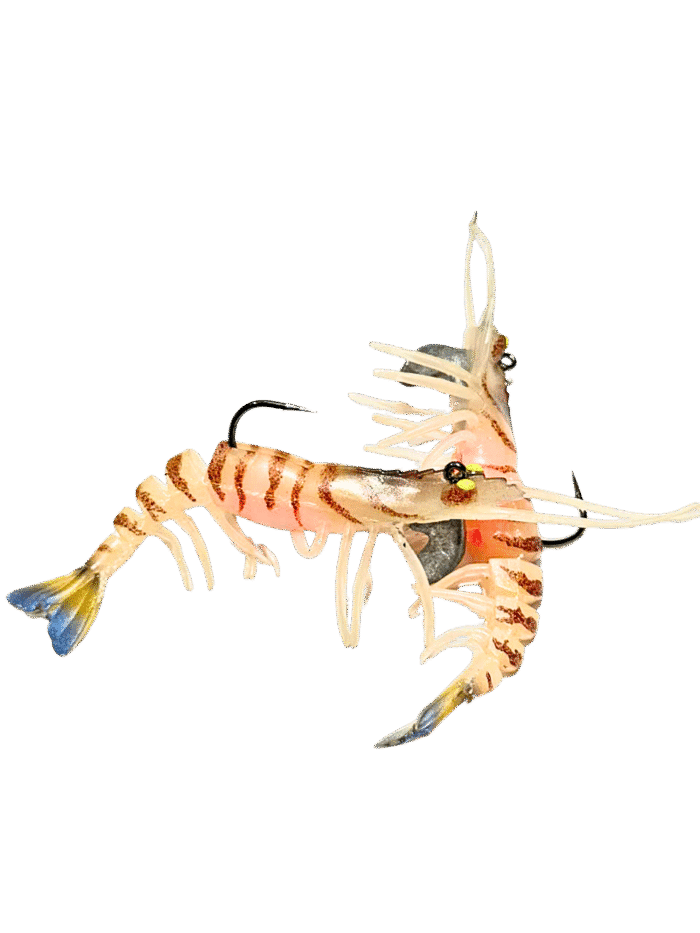 Mồi tôm mềm có kèm lưỡi câu - 1 vỉ gồm 2 con tôm. - Ảnh 4