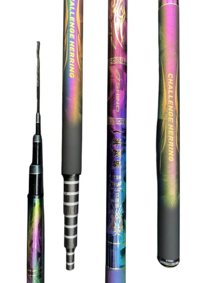 Cần Câu Tay Ashino Nhất Cần Nguyên Thành