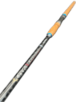 Cần Câu Ashino ROYALCHANNA