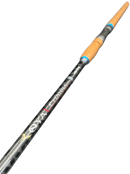 Cần Câu Ashino ROYALCHANNA