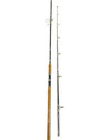 Cần câu ASHINO BLACK MAX CX300 – cần 2 khúc - cần câu Lure